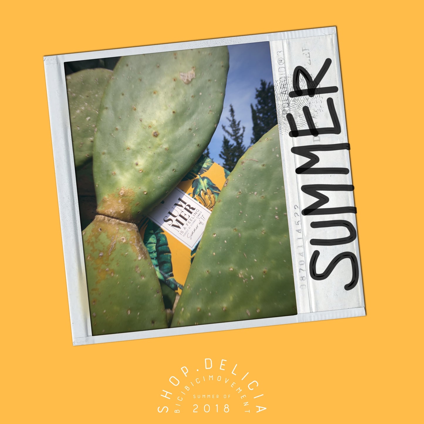 summerisafeeling. notebook